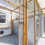 Spinney Cattery Lincoln