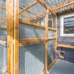 Spinney Cattery Lincoln