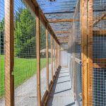 Spinney Cattery Lincoln