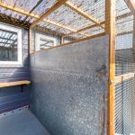 Spinney Cattery Lincoln