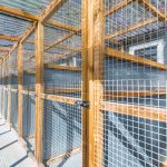 Spinney Cattery Lincoln