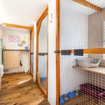 Spinney Cattery Lincoln