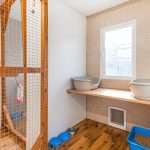 Spinney Cattery Lincoln