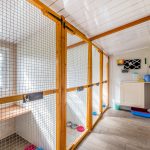 Spinney Cattery Lincoln