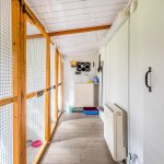 Spinney Cattery Lincoln