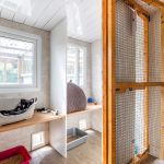 Spinney Cattery Lincoln