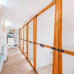 Spinney Cattery Lincoln