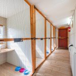 Spinney Cattery Lincoln