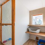 Spinney Cattery Lincoln
