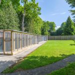 Spinney Cattery Lincoln