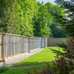 Spinney Cattery Lincoln