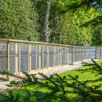 Spinney Cattery Lincoln